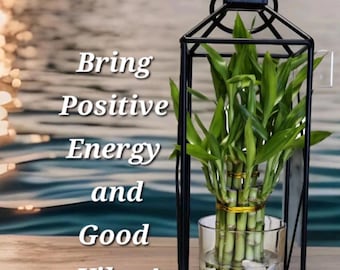 Op de afbeelding: Een zwarte metalen lantaarn met een glazen vaas erin. De vaas bevat een gelukkige bamboeplant met groene stengels en gouden banden. De tekst "Bring Positive Energy and Good Vibes!" is in wit op een blauwe achtergrond geschreven.