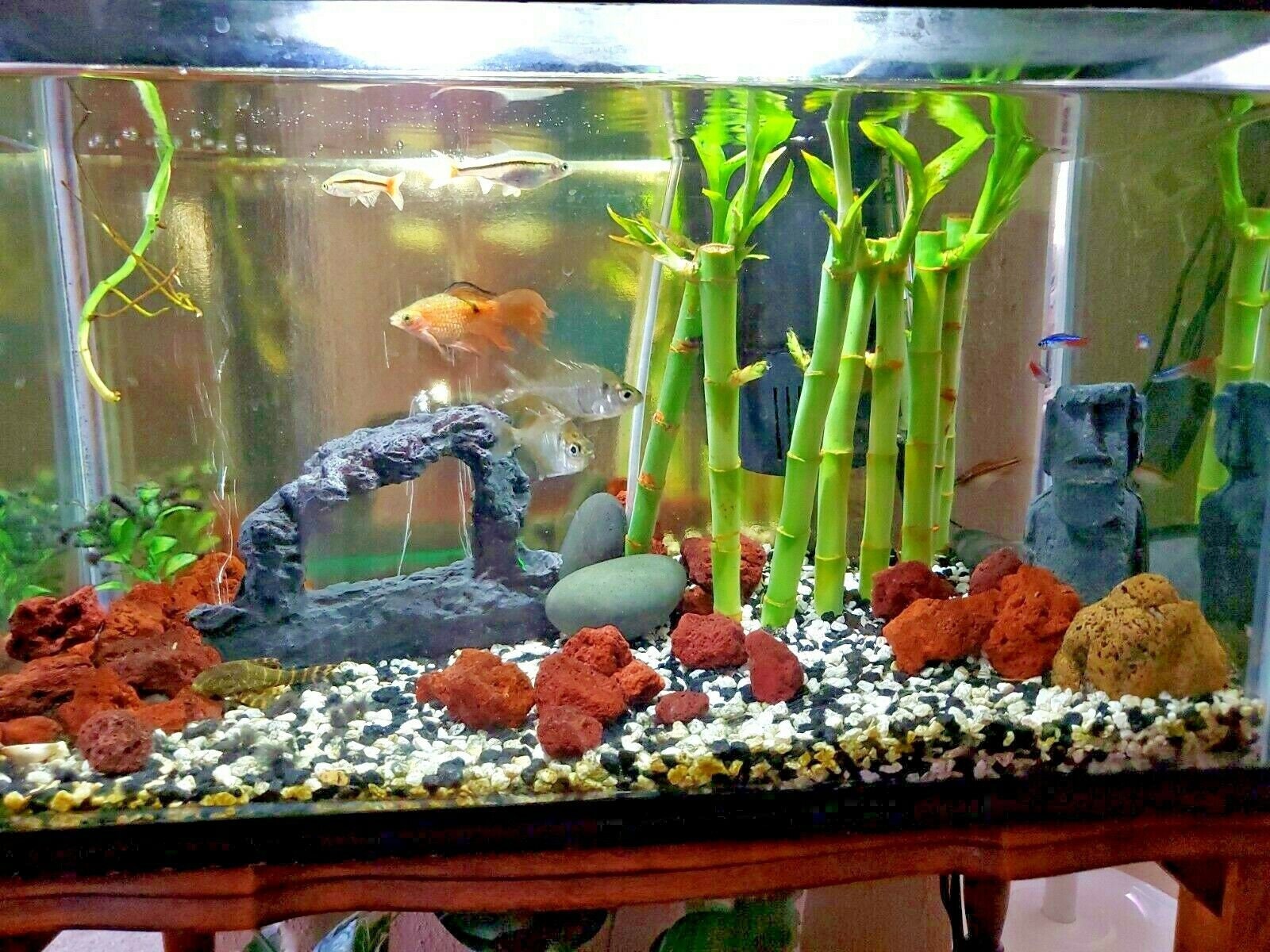 Bamboo Fish Tank - Etsy