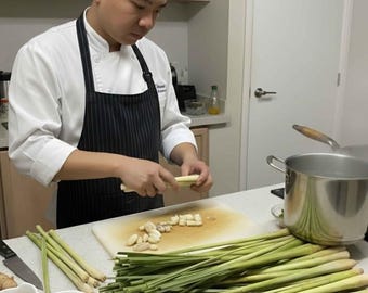 5 Organic Lemongrass Stalks: Mosquito Repellent, For Cooking, Planting