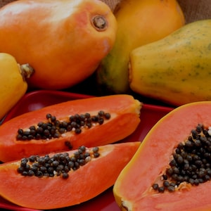 50 Papaya Seeds (plus 15 FREE), Proven Sweet, Healthy, Carica, Papaya Smoothie, Discover the Many Benefits of Papaya, Free Shipping