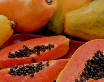 May include: Close-up of halved ripe papaya fruit with black seeds. The papaya is on a red plate with whole papaya fruit in the background.