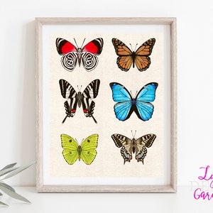 Butterfly wall art, butterflies, digital art, entomology, nature lover, animal lover, gift, gift for her, download, painting, monarch