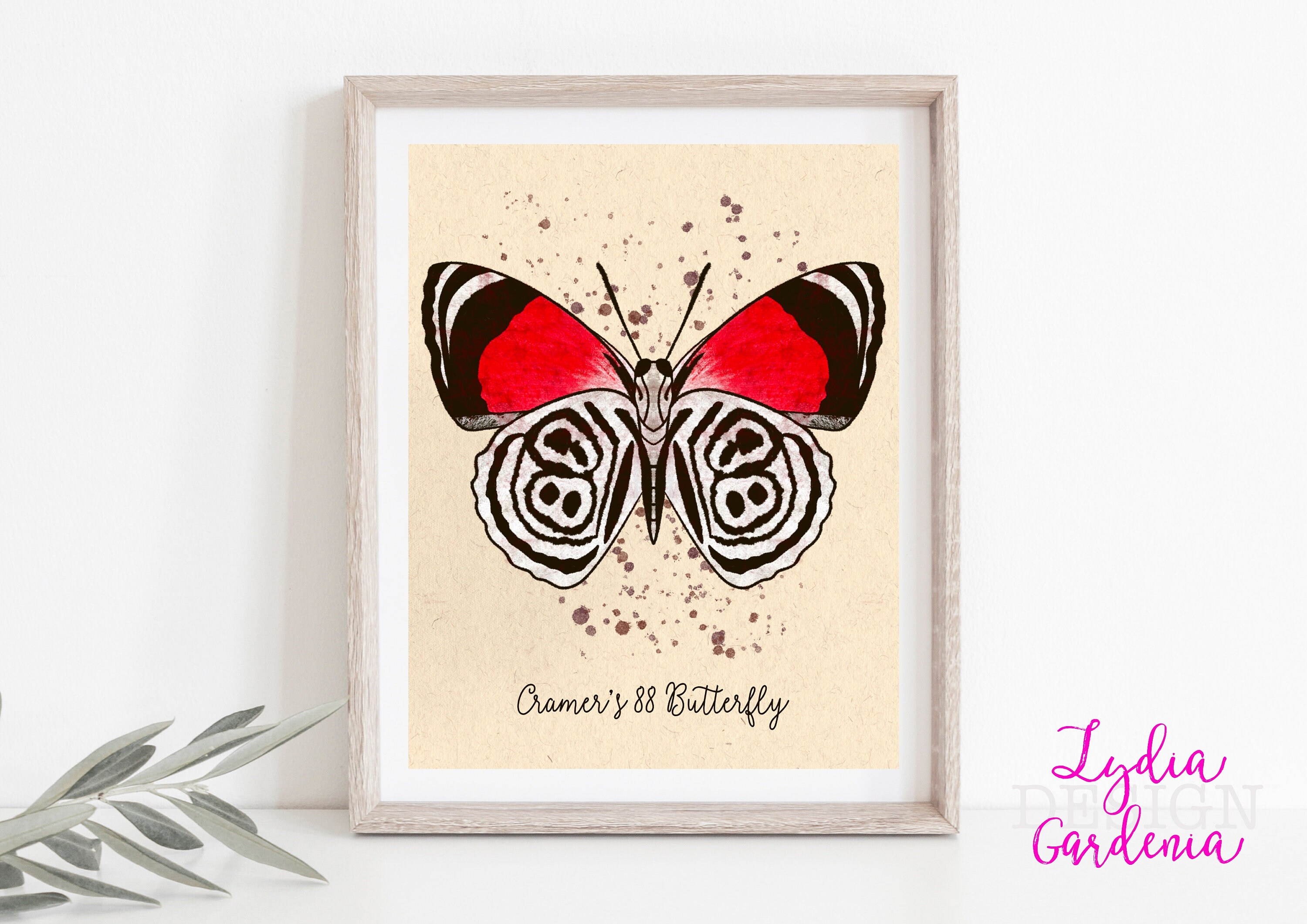 Butterfly wall art, cramers 88 butterfly, digital art, entomology, nature lover, animal lover, gift, gift for her, download, painting
