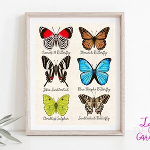 Butterfly wall art, butterflies, digital art, entomology, nature lover, animal lover, gift, gift for her, download, painting, monarch