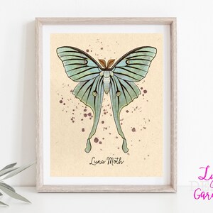 Arte de pared de polilla, arte digital, entomología, amante de la naturaleza, amante de los animales, regalo, regalo para ella, pintura de polilla, polilla luna, regalo de arte