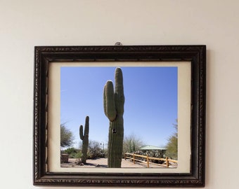 Cactus Camera Art Decor