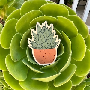 Sappige vinylsticker | Ingemaakte succulente sticker| Sticker kamerplant|Plantsticker| Cadeau plantenliefhebber|Mat|Waterdicht|Laptopsticker|