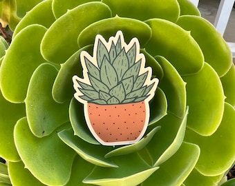 Succulent Vinyl Sticker |Potted Succulent Sticker|House Plant Sticker|Plant Sticker|Plant Lover Gift|Matte|Waterproof|Laptop Sticker|
