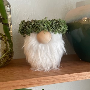 May include: A small white gnome figurine with a green moss hat and a wooden nose. The gnome is sitting on a wooden shelf.