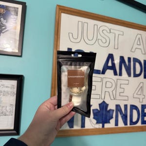 May include: A black package containing a car air freshener labeled "GINGERBREAD". The car diffuser is visible through the clear plastic, with a brown wooden base and a cream-colored top. The background includes framed pictures and a sign.