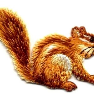 May include: Embroidered patch of a brown squirrel with a bushy tail. The squirrel is facing right and has a white stripe on its back.