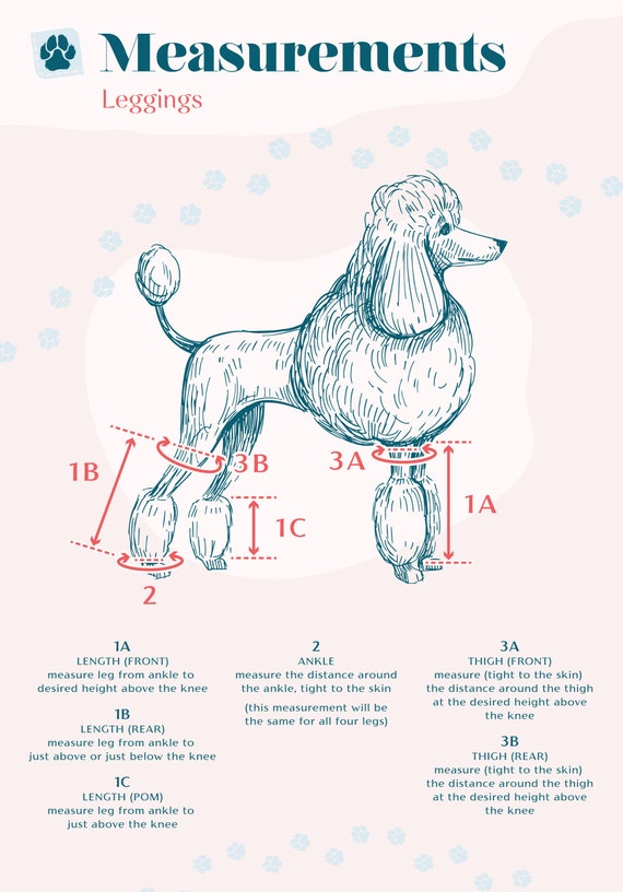 Dog leggings for back legs cheap