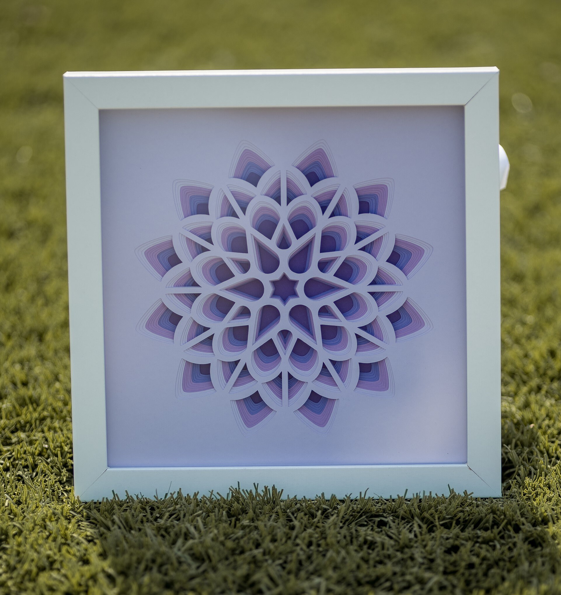 Wall Decor Home Decor 3D Layered Paper Flower 2 Shadow Box Layered