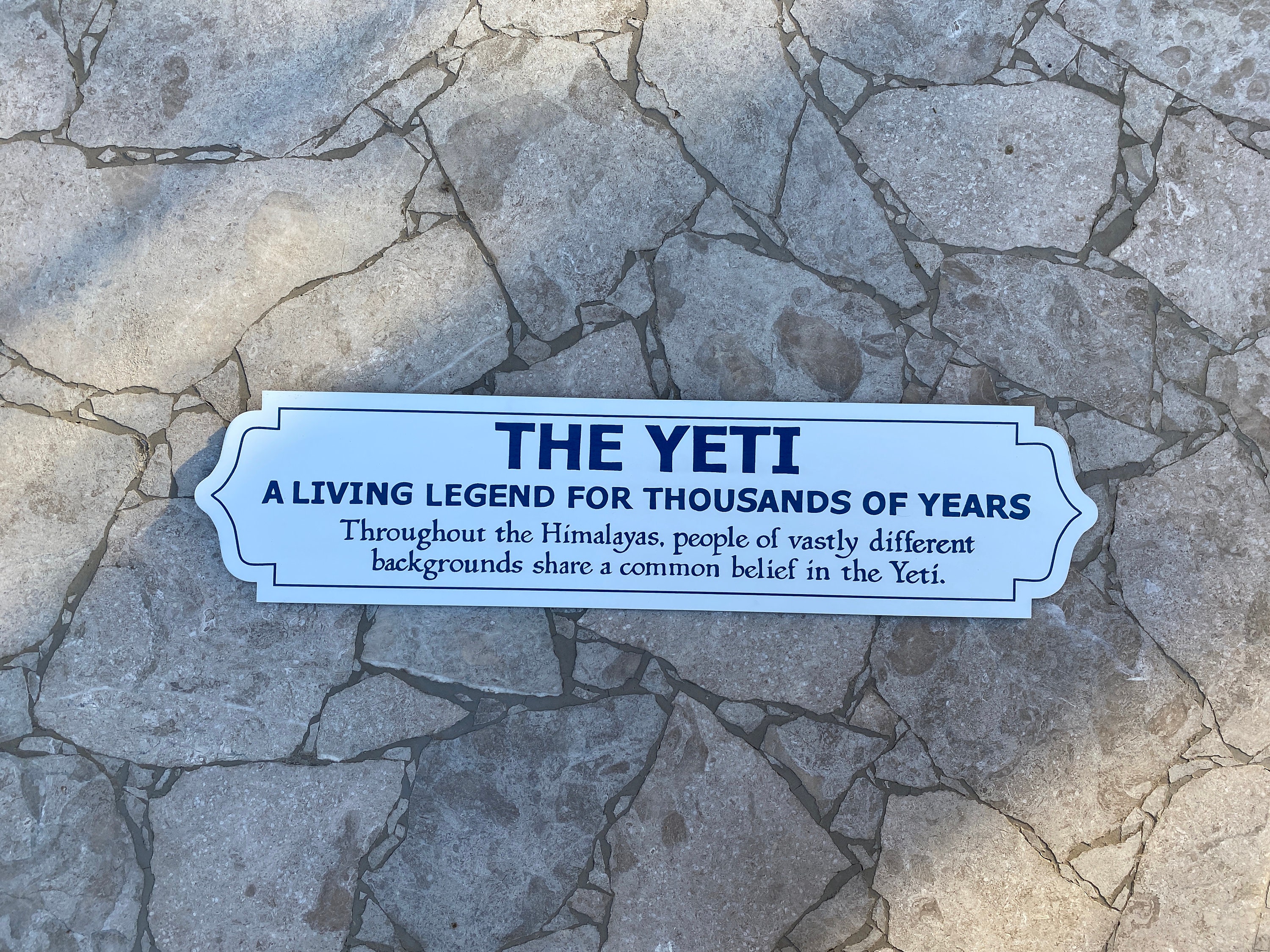 Expedition Everest Yeti Sign - Etsy