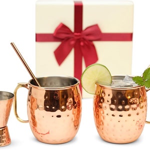 Stainless Steel Lined Copper Moscow Mule Cups Set of 2 (18oz) w/ 2 Straws, 1 Jigger, 1 Spoon & 1 Brush | Wedding, Anniversary Gift Set