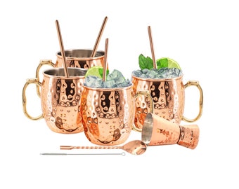 Stainless Steel Lined Copper Moscow Mule Cups Set of 4 (18oz) w/ 4 Straws, 1 Jigger, 1 Spoon & 1 Brush | Wedding, Anniversary Gift Set