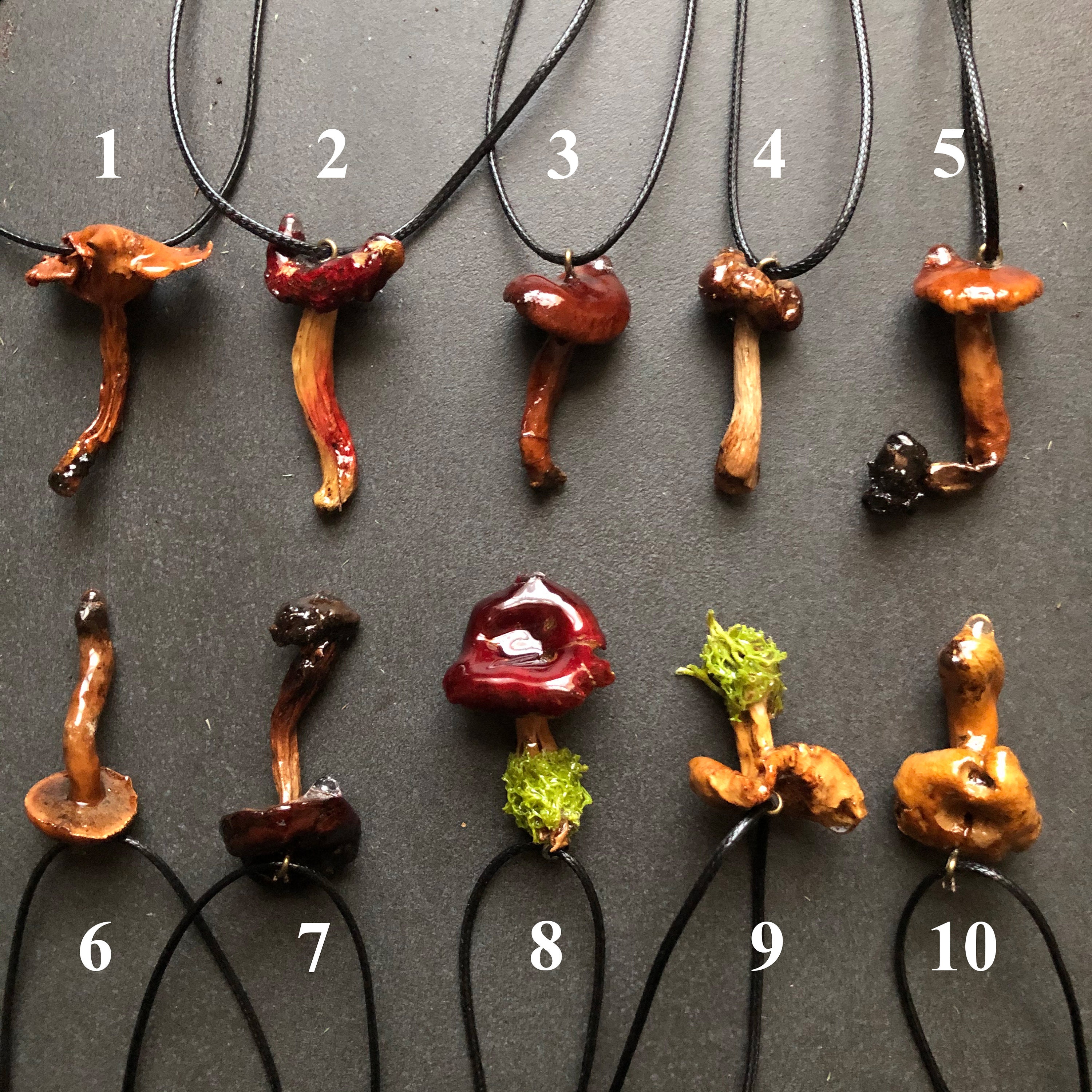 Dried mushroom necklace Etsy