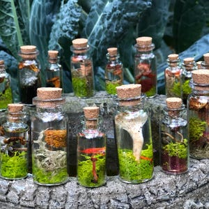 Mushroom vials