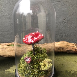 Große Kuppel mit Amanita Pilz