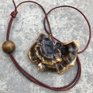Turkey tail mushroom necklace