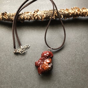 Champignon polypore rouge cinabre/pendentif forêt/cadeau pour un amoureux de la nature/bijoux mère nature/pendentif véritable champignon/collier de fées/bijoux terreux