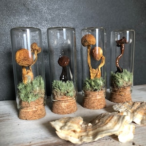 Mushroom vial /nature lover gift /curio shelf