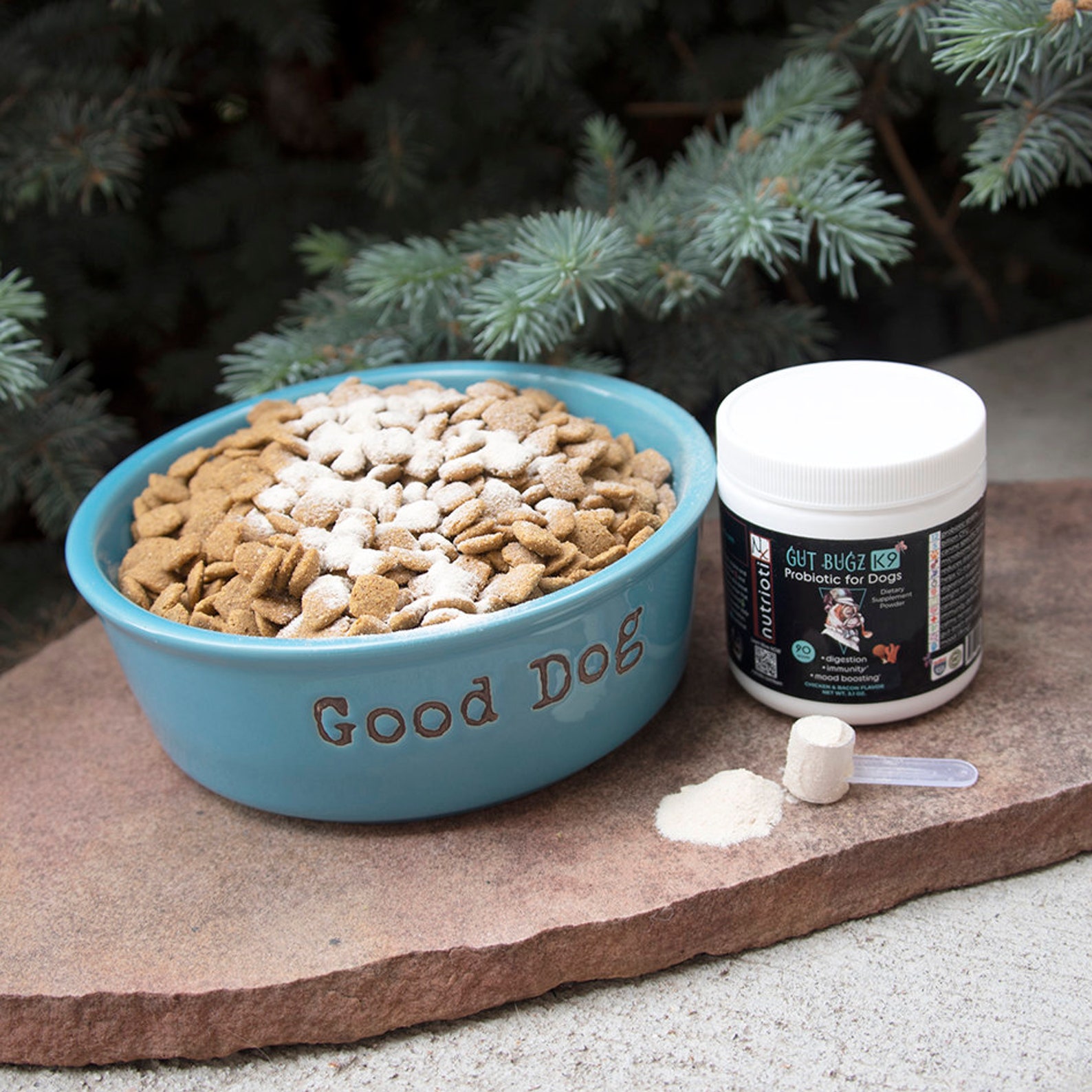 Canine Probiotic Powder for Dogs Dog Supplement Powder & Etsy