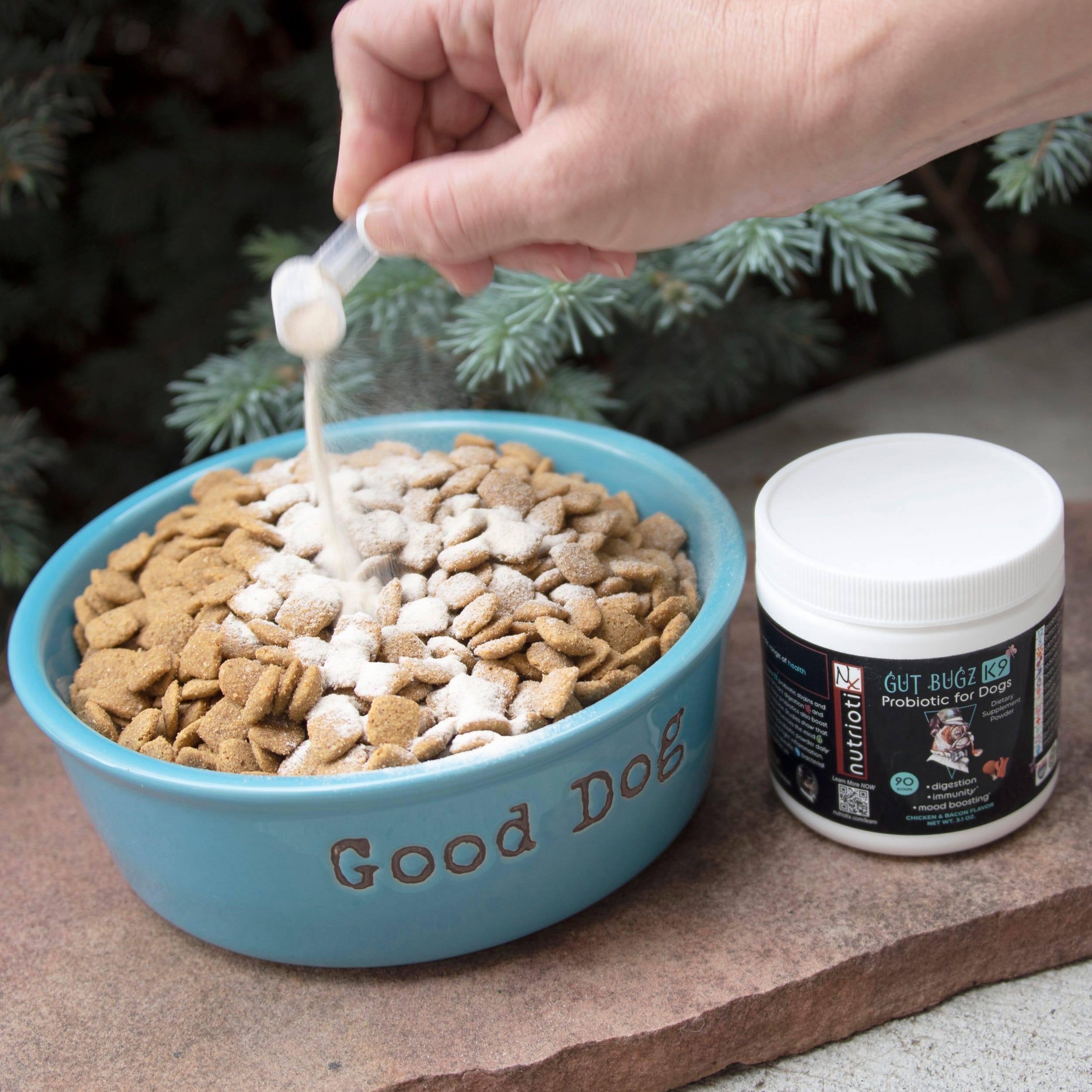 Canine Probiotic Powder for Dogs Dog Supplement Powder & Etsy