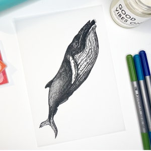Whale Vellum Dashboard, Planner Insert, Discbound Vellum, A5, A6, Personal