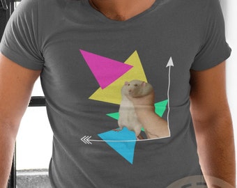 Op de afbeelding: Een grijs V-hals T-shirt met een grafisch ontwerp met een witte rat die op een geometrische vorm staat gemaakt van roze, gele, blauwe en groene driehoeken. De grafiek bevat ook een witte pijl die omhoog wijst en een witte pijl die naar links wijst. De tekst "FAT SMELLY" is zichtbaar in een cirkel in de rechterbenedenhoek van het shirt.