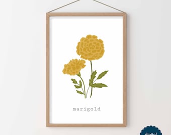 Puede incluir: Una lámina de arte mural enmarcada con una ilustración botánica de dos flores de caléndula amarillas con tallos y hojas verdes sobre un fondo blanco. La palabra marigold está impresa en una fuente de máquina de escribir negra.