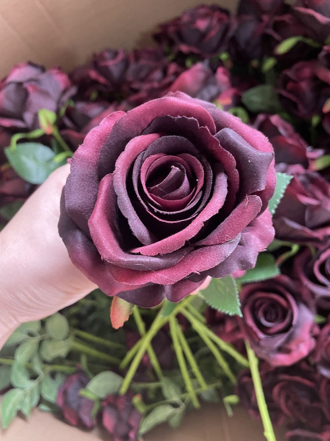 burgunderrote-weinrosen-mit-langen-stielen-und-dunkelroter-blume-home