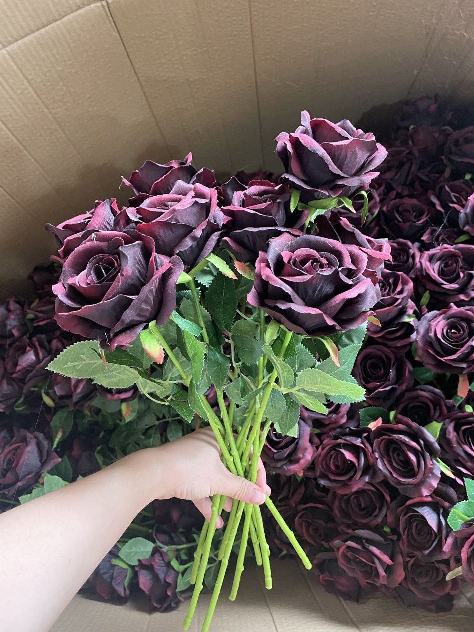 burgunderrote-weinrosen-mit-langen-stielen-und-dunkelroter-blume-home