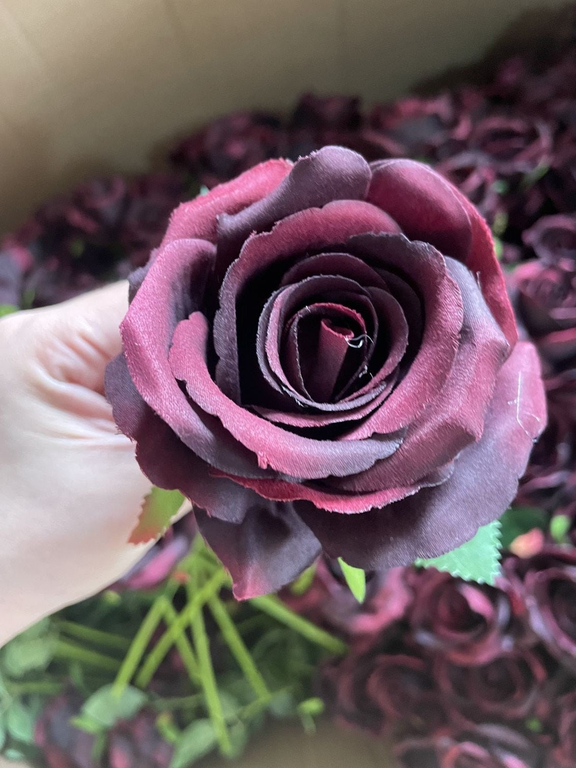 burgunderrote-weinrosen-mit-langen-stielen-und-dunkelroter-blume-home