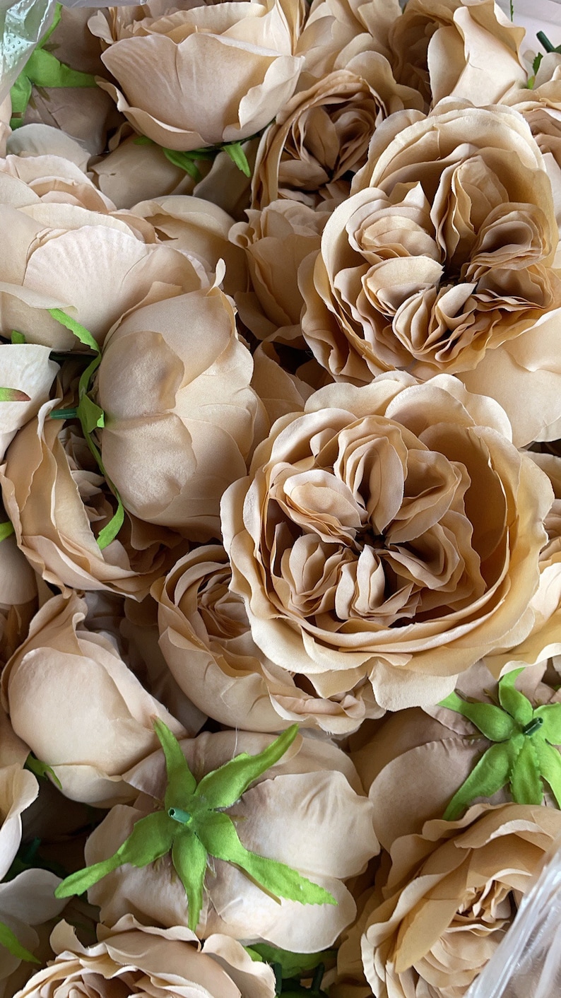 Open Toffee Roses Light Toffee Austin Roses, Faux Silk Cabbage Flowers - Etsy