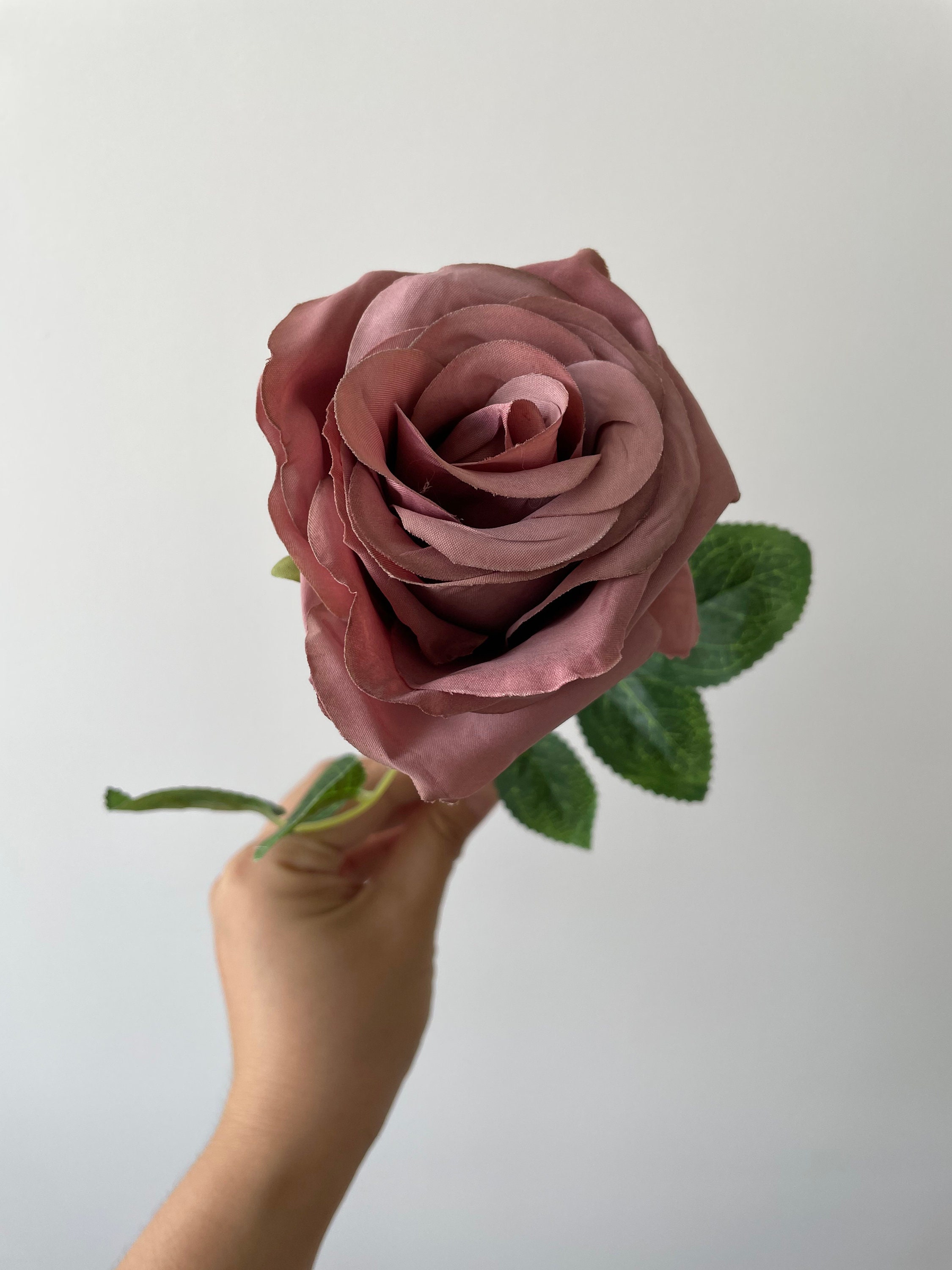 10pcs Dusty Rose with Long Stems Dusty Rose Wedding Flower for Etsy