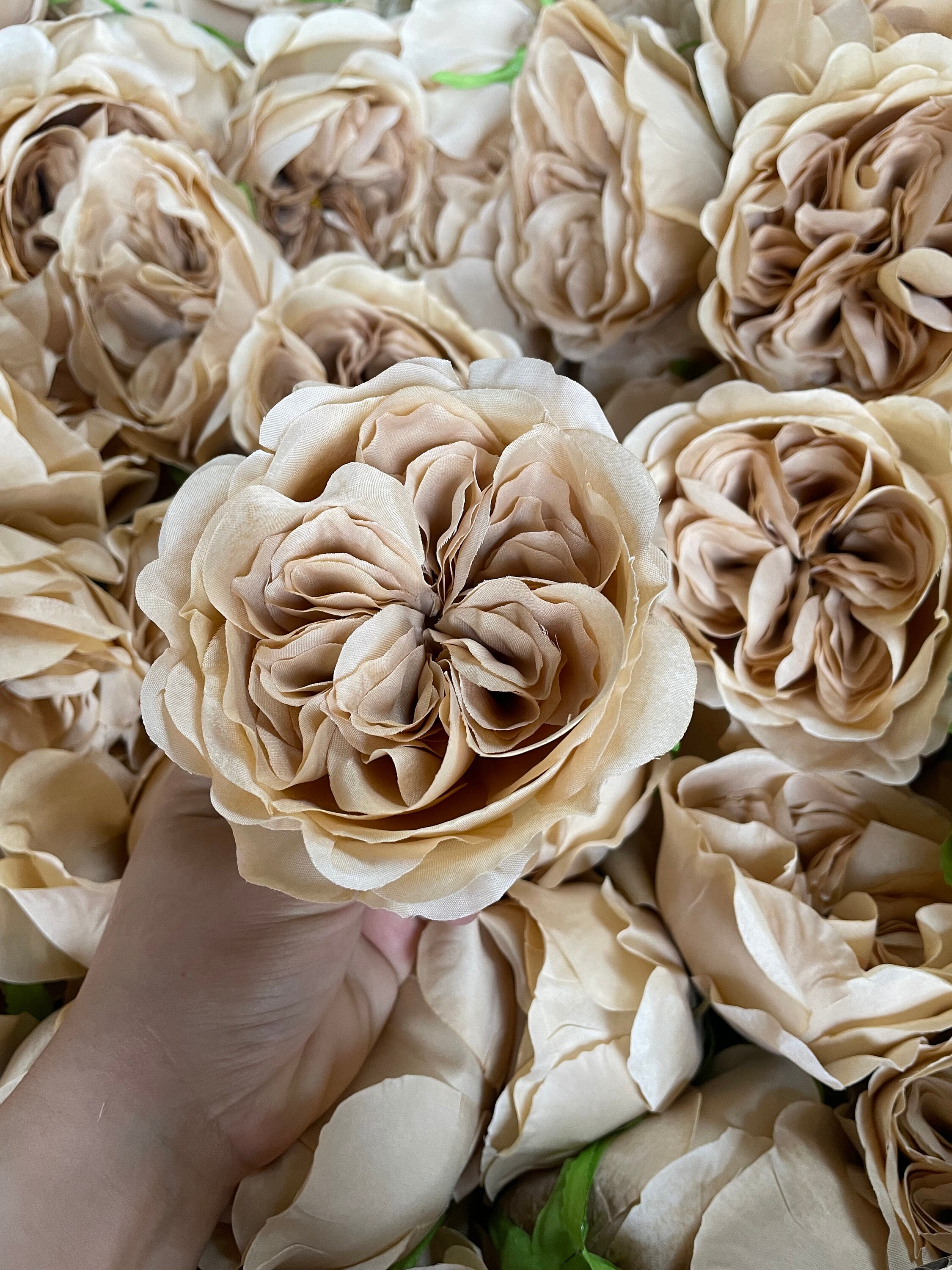 Toffey Roses Light Toffee Austin Roses, Faux Silk Cabbage Flowers - Etsy