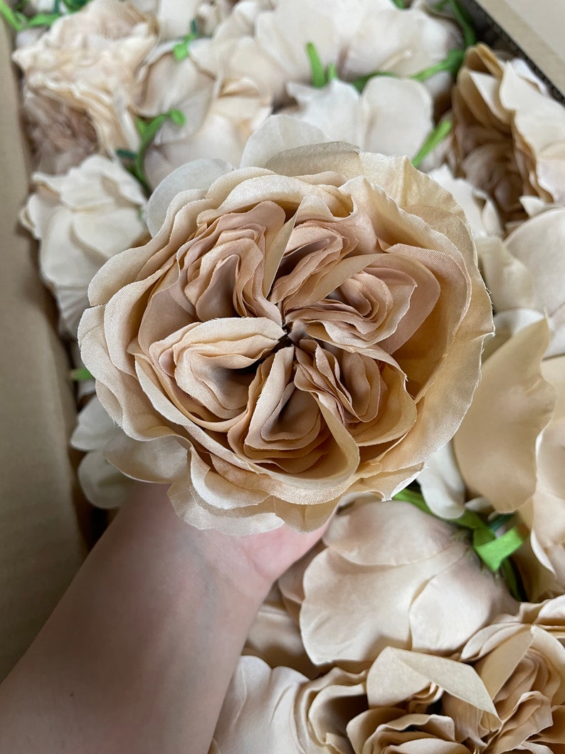 Mini Roses Tofee Light Toffee Austin Roses, Faux Silk Cabbage Flowers - Etsy
