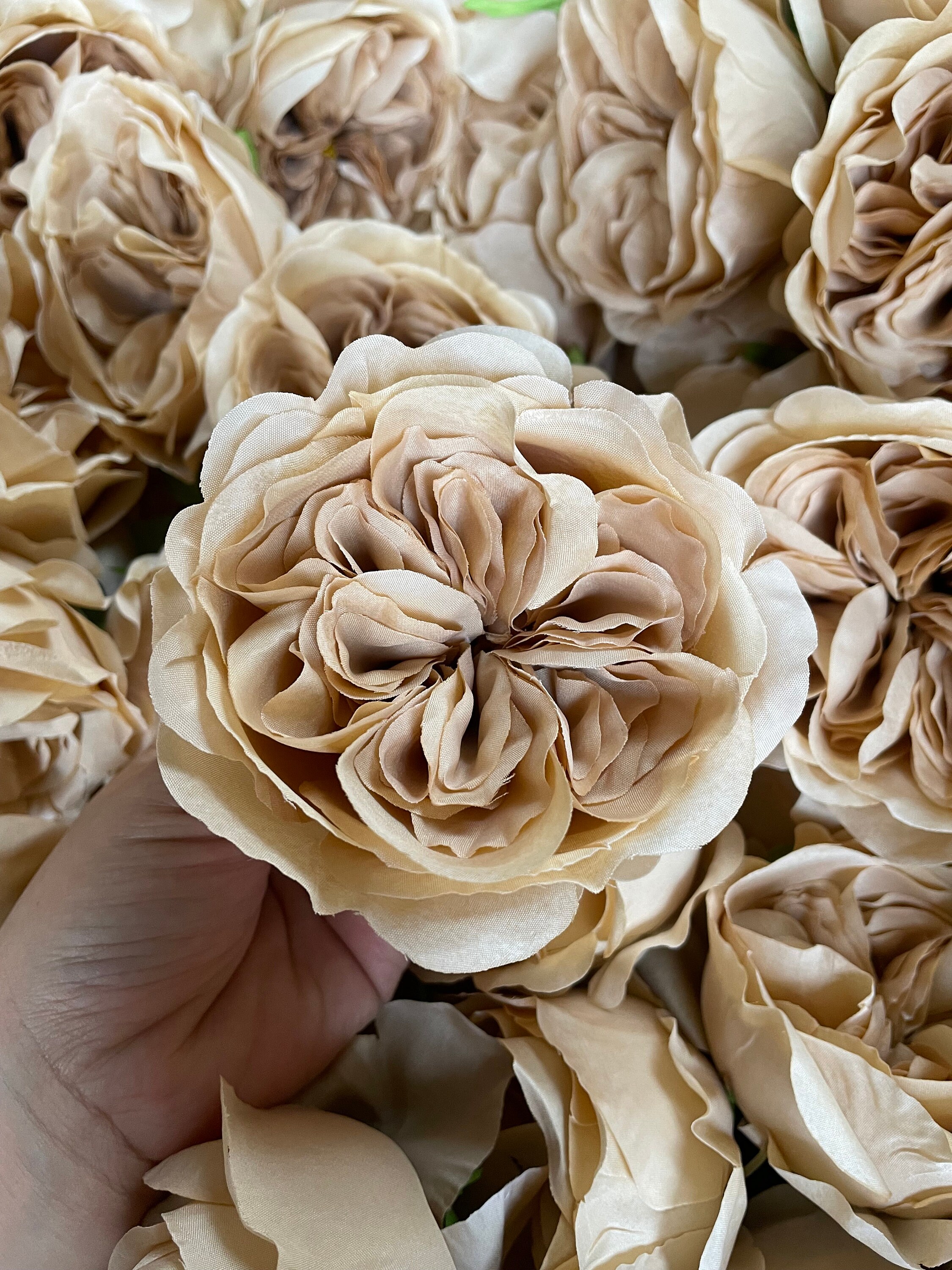 Toffey Roses Light Toffee Austin Roses, Faux Silk Cabbage Flowers - Etsy