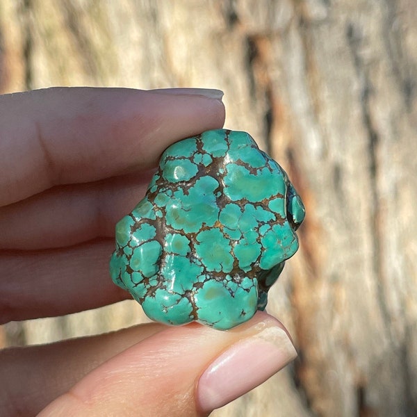 hubei turquoise nugget, tumble || 16 grams natural chinese turquoise, polychrome turquoise freeform, stabilized in Hubei, China