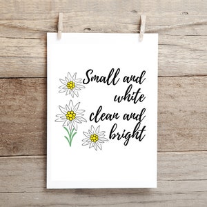 Sound of Music Musical Movie Art Print Edelweiss