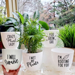 Funny Planters - Flower | Plant | Succulent | Pots