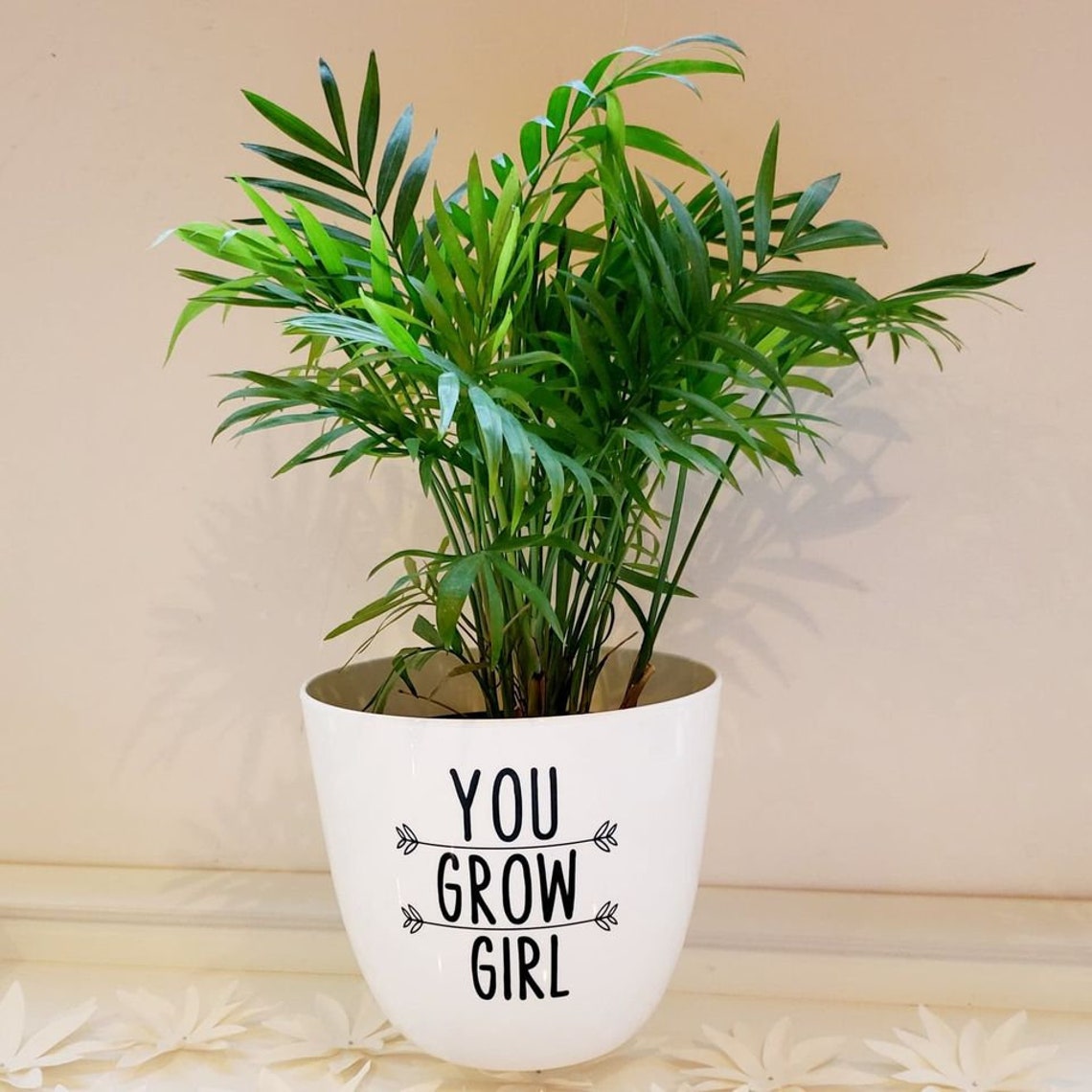 Set of 4 Funny Planters Flower Pots Plant Pots Funny Etsy