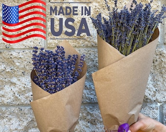 Fragrant Lavender Bundle: Grosso or English Variety