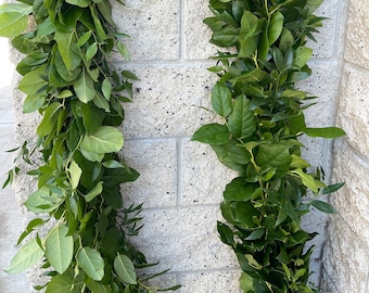 Fresh Ruscus & Salal Garland: Natural Greenery Wedding Decor