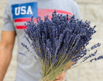 Lavender Bouquet - 600 Fragrant Stems - Vibrant Purple Lavender Stems - Wedding Flowers - Gifts - Dried Lavender