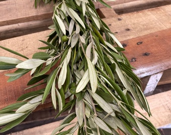 Fresh Olive Garland // Natural CA Grown Olive Branches // Wedding Garland // Real Fresh Greenery Garland // Table decor