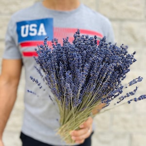 Puede incluir: Un gran ramo de flores de lavanda secas, sostenido por una persona que lleva una camiseta gris con la palabra "USA" impresa en ella.