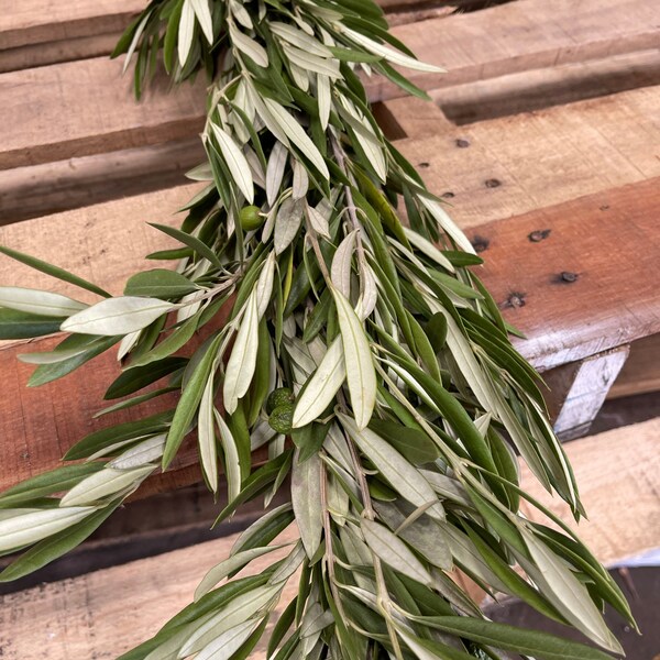 Olive Leaf Garland Etsy
