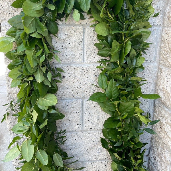 Greenery Garland Etsy